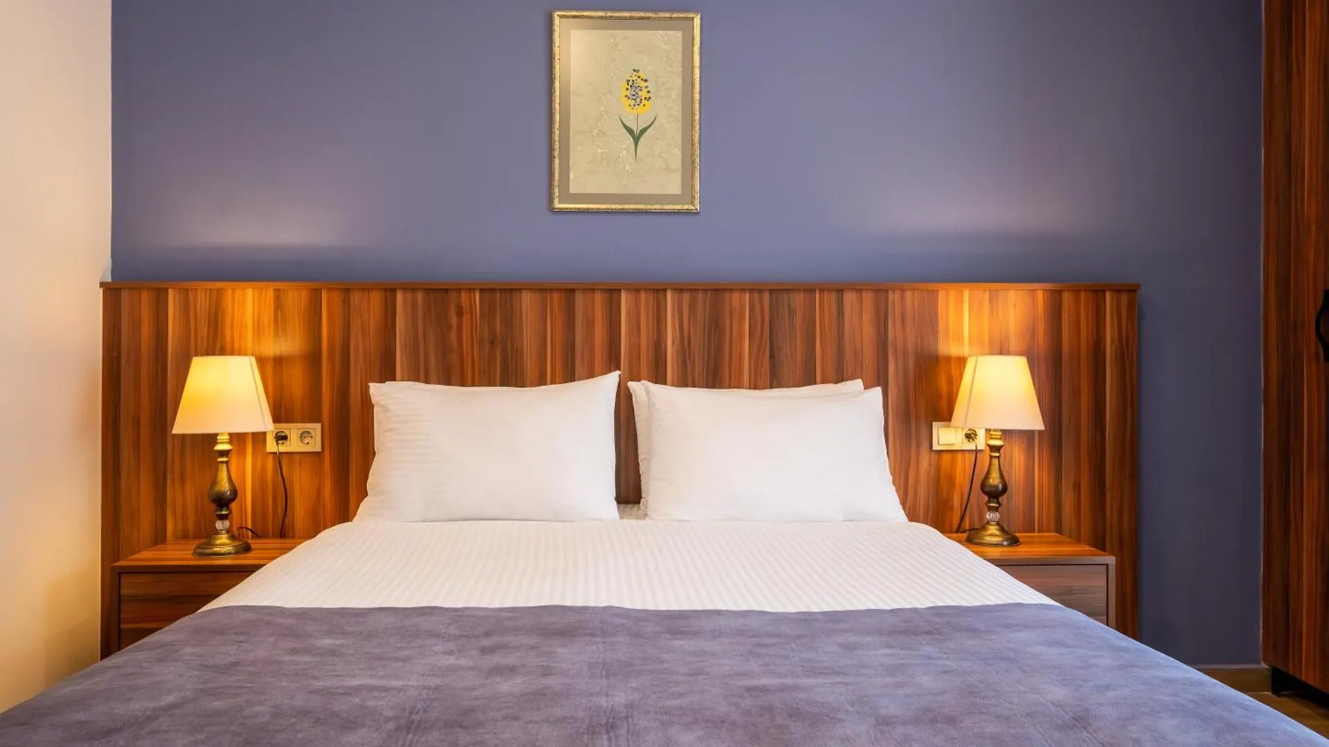 La Wisteria Boutique Hotel Istanbul