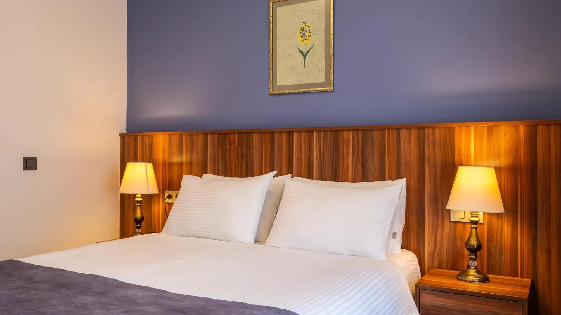 La Wisteria Boutique Hotel Istanbul 4*,
