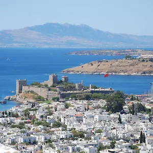 the-marmara-bodrum.aegeanhotels.net/