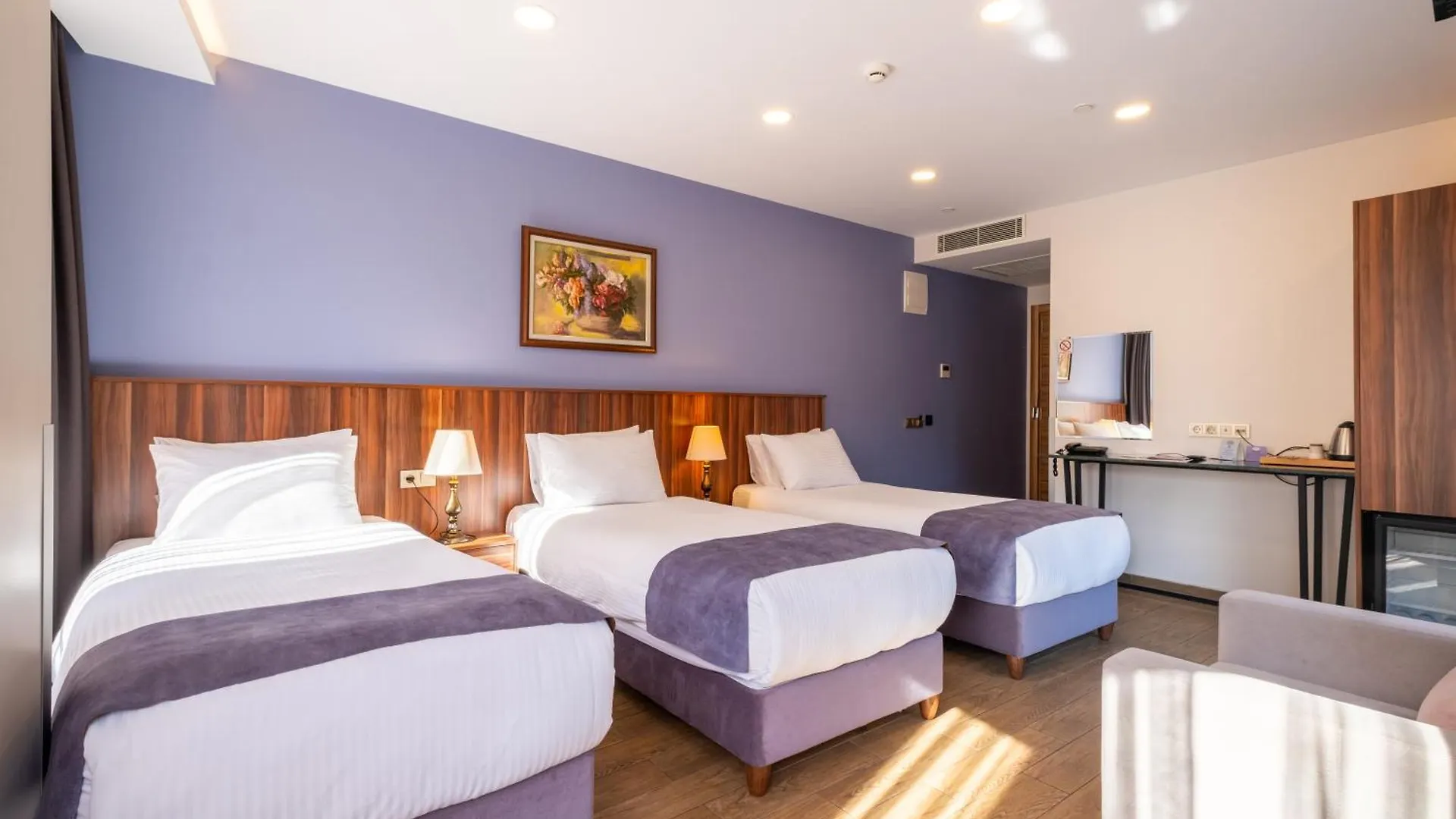 La Wisteria Boutique Hotel Κωνσταντινούπολη Τουρκία